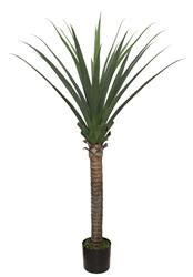 AGAVE TREE  NP802_160  ΥΨΟΣ 160cm