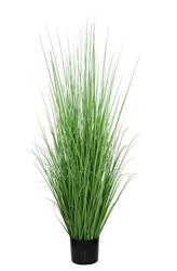 ONION GRASS TREE NP1011_120 ΥΨΟΣ 120cm