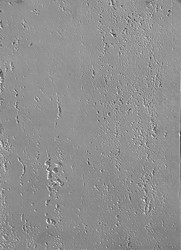 PANEL ΕΥΚΑΜΠΤΗΣ ΠΕΤΡΑΣ 104040 TRAVERTINE 60/1200mm LIGHT GREY