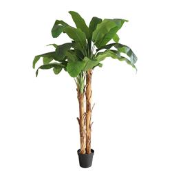 BANANA TREE NP707_240 ΥΨΟΣ 240cm