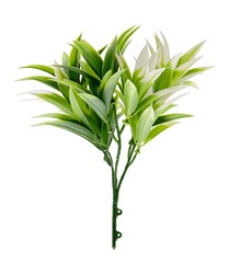 ΔΙΑΚΟΣΜΗΤΙΚΟ ΜΠΟΥΚΕΤΟ (SET 10ΤΜΧ) AMALFI W007 PODOCARPUS NAGI